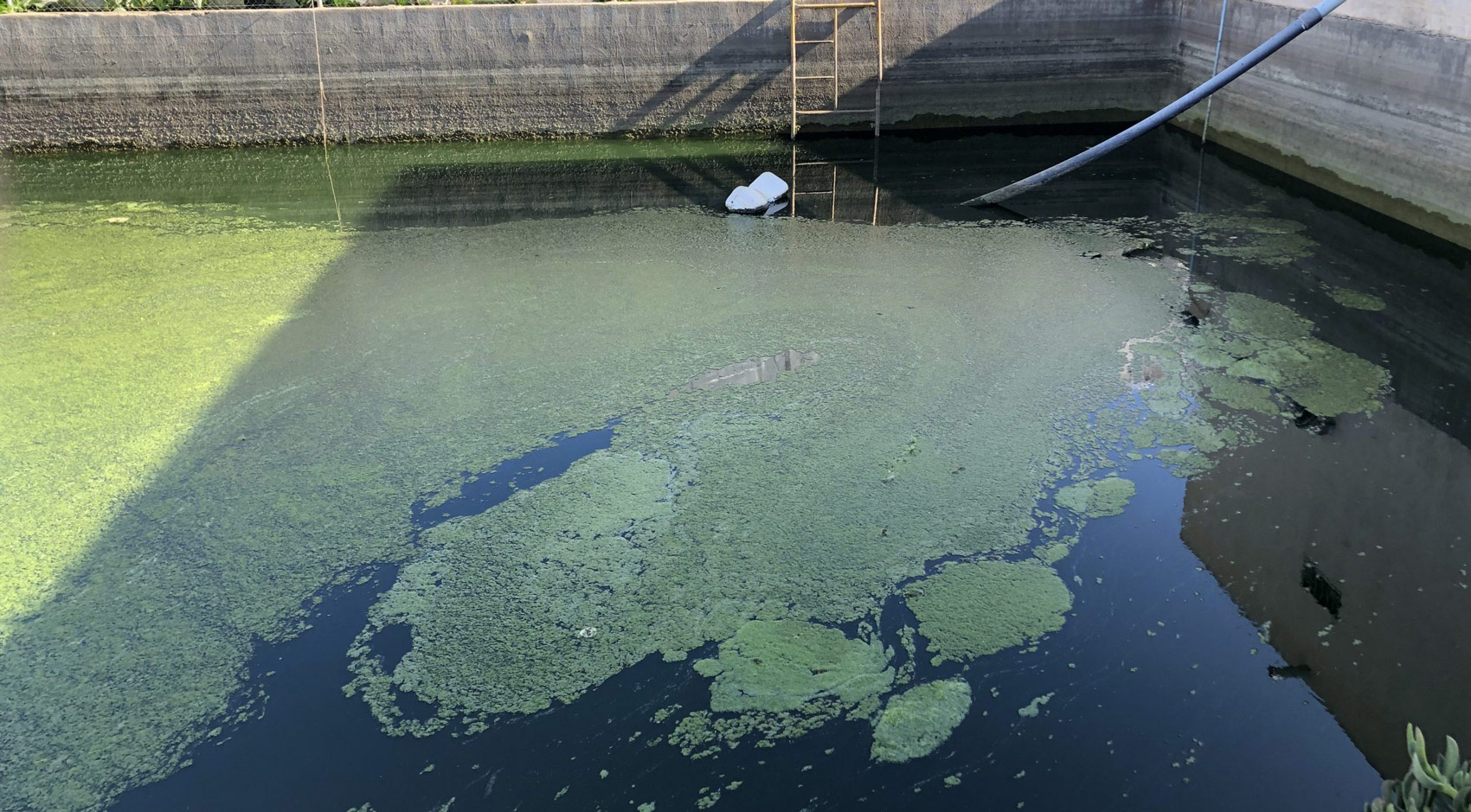 El biofilm en las instalaciones de riego - AZUD